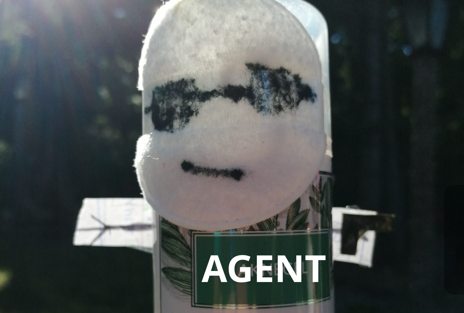 agent