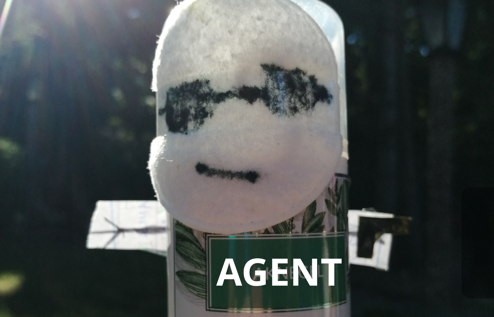 agent